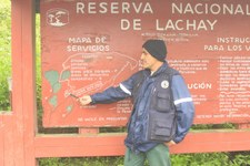 Enlarge photo 17