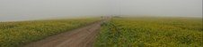 Enlarge photo 51