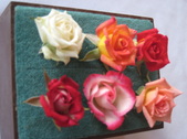 Enlarge photo 15