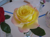 Enlarge photo 18