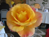 Enlarge photo 5