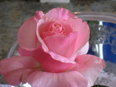 Enlarge photo 1