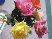 Enlarge photo 15
