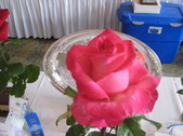 Enlarge photo 1
