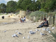 Enlarge photo 85