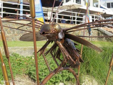 Enlarge photo 35
