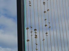 Enlarge photo 54