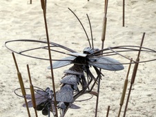 Enlarge photo 63