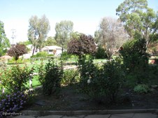 Enlarge photo 52