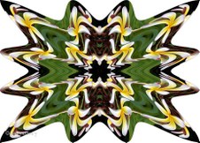 Enlarge photo 11