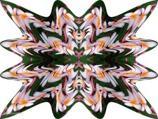Enlarge photo 14