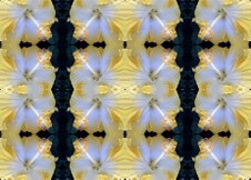 Enlarge photo 28