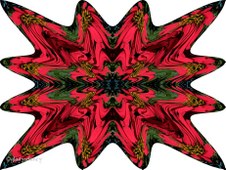 Enlarge photo 8