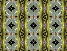 Enlarge photo 37