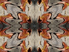 Enlarge photo 32