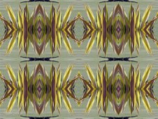 Enlarge photo 35