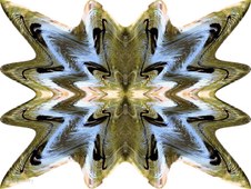 Enlarge photo 5