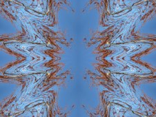 Enlarge photo 18