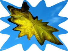 Enlarge photo 40