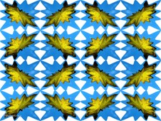 Enlarge photo 41