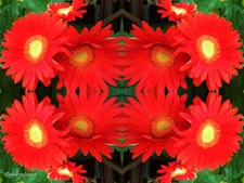 Enlarge photo 38