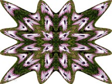 Enlarge photo 2