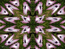 Enlarge photo 1