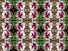 Enlarge photo 43