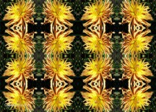 Enlarge photo 47