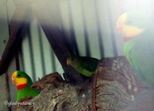 Enlarge photo 37