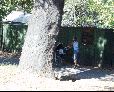 Enlarge photo 13