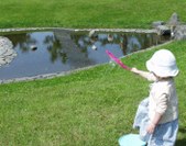Summer 2006