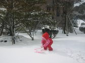 Enlarge photo 3