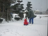 Enlarge photo 14