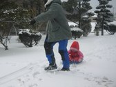 Enlarge photo 13