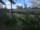 Enlarge photo 29