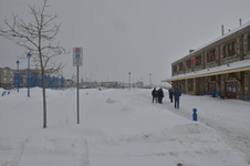 North Bay Area Museum