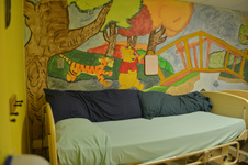 Enlarge photo 22