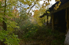 Enlarge photo 30