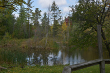 Enlarge photo 32