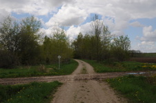 Enlarge photo 21