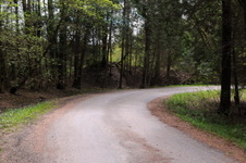 Enlarge photo 22