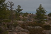 Enlarge photo 33
