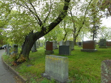Enlarge photo 17