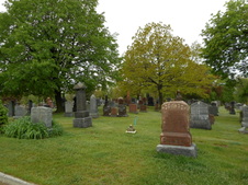Enlarge photo 29
