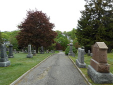 Enlarge photo 32