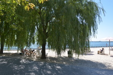 Enlarge photo 21