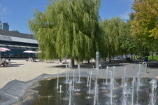 Enlarge photo 24