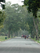 Enlarge photo 25