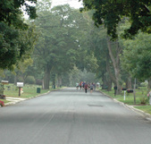 Enlarge photo 26